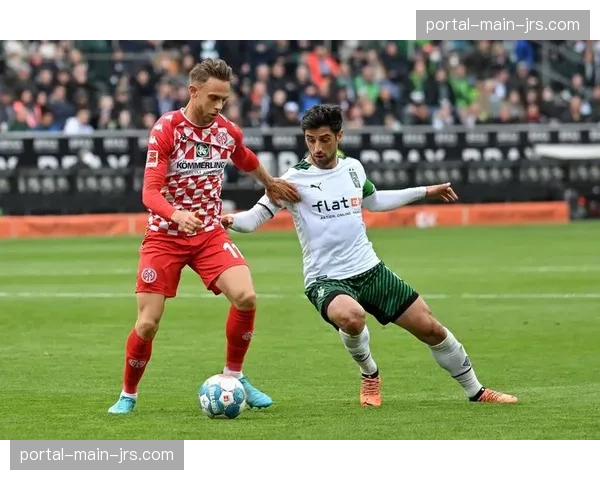 绿色转型:德甲俱乐部在球场技术运维中引入可再生能源的挑战 绿色转型:德甲俱乐部在球场技术运维中引入可再生能源的挑战